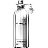 Montale Fougeres Marine Apă de parfum 100ml