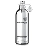 Montale Chypre Fruite Apă de parfum 100ml