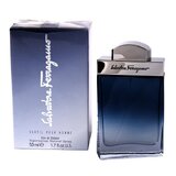 Salvatore Ferragamo Subtil Pour Homme Apă de toaletă 50ml