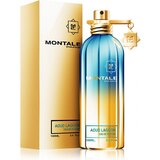Montale Aoud Lagoon Apă parfumată, 100ml