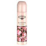 Cuba Original Cuba Blossom Apă de parfum 100ml