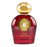 Tiziana Terenzi Tempel Apă de parfum 100ml
