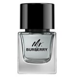 Burberry Mr. Burberry for Men Eau de toilette Apă de toaletă 50ml
