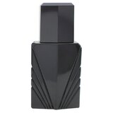 Elizabeth Taylor Passion For Men Apa de Colonie