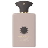 Amouage Opus XIV Royal Tobacco Apă de parfum 100ml