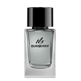 Burberry Mr. Burberry for Men Eau de toilette Apă de toaletă 100ml