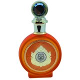 North Stag Expressions IV Quarte Apă de parfum 100ml