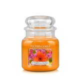 Lumanare Country Candle Sunshine & Daisies lumanare parfumata medie 2 fitil (453 g)