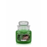Lumanare Country Candle Balsam Brad Mini 1 fitil (104 g)