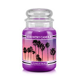 Lumanare Country Candle Purple Palm lumanare mare cu 2 fitiluri parfumate (652 g)