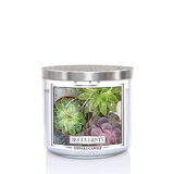 Lumânare Kringle Lumânare parfumată TUMBLER Succulents cu 3 fitiluri 411g