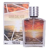 Soulcal & Co For Him Brown Apă de toaletă 75ml