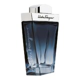 Salvatore Ferragamo Subtil Pour Homme Apă de toaletă 30ml