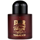 Emir Vibrant Spicy Tobacco Apă de parfum 100ml