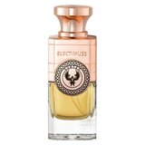 Electimuss Auster Apă de parfum 100ml