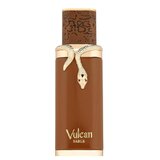 French Avenue Vulcan Sable Apă de parfum 100ml
