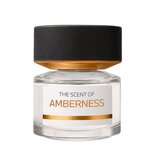 BMW The Scent of Amberness Apă de parfum 50ml