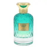 Flavia Celestc Horizon Apă de parfum 100ml