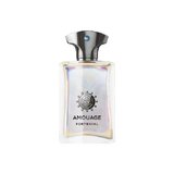 Amouage Portrayal Man Apa de parfum - Tester