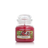 Yankee Candle Classic Small Jar Candles Lumânări parfumate 104 g