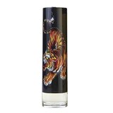 Christian Audigier Ed Hardy Men's Apă de toaletă 100ml