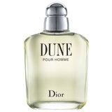 Dior Dune pour Homme Apă de toaletă 100ml