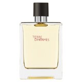Hermes Terre D'Hermes Apă de toaletă 100ml