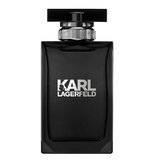 Karl Lagerfeld Pour Homme Apa de toaletă - Tester 100ml