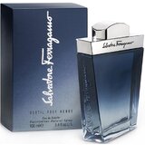 Salvatore Ferragamo Subtil Pour Homme Apă de toaletă 100ml