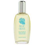 Elizabeth Arden Blue Grass Apă de parfum 100ml
