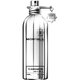 Montale Fougeres Marine Apă de parfum 100ml