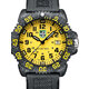 Luminox X2.2055.1 Sea Lion Mens Watch 44mm 10ATM