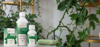  Parfumuri de rufe Issencia