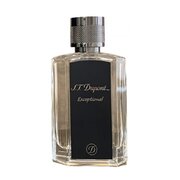 S.T. Dupont Exceptional Apă de parfum