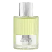 Tom Ford Beau de Jour Apă de parfum 100ml