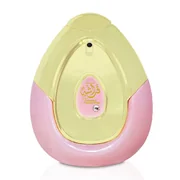 Al Haramain Farasha Eau de Parfum Apă de parfum 100ml