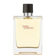 Hermes Terre D'Hermes Apa de toaletă - Tester