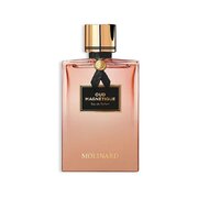 Molinard Oud Magnetique Apă de parfum