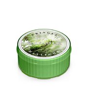 Lumanare Kringle Candle Balsam Brad (35 g)