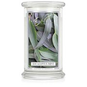 Lumanare Kringle Candle Eucalyptus Mint Lumanare mare cu 2 fitiluri parfumate (624 g)