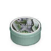 Lumanare Kringle Candle Eucalyptus Menta (35 g)