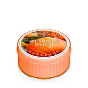 Lumanare Kringle Candle Pumpkin Patch lumanare parfumata (35 g)