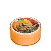 Lumânare Kringle Candle Pumpkin Sage (35 g)