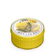 Lumanare Kringle Rosemary Lemon (35 g)