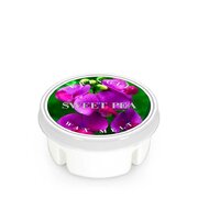 Kringle Candle Ceara cu parfum de mazare dulce (35 g)