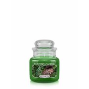 Lumanare Country Candle Balsam Brad Mini 1 fitil (104 g)