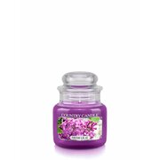 Lumânare Country Candle Fresh Liliac mini lumânare parfumată 1 fitil (104 g)