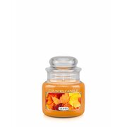 Lumânare parfumată Country Candle Leaves mini 1 fitil (104 g)