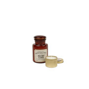 Lumânare parfumată Paddywax Apothecary SARE DE MARĂ și SALVIE (226 g)