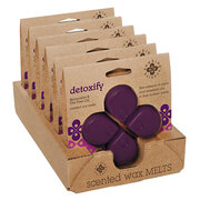 RĂDĂCĂNICĂ LUMANĂRI Seeking Balance ceara DETOXIFY / DETOX